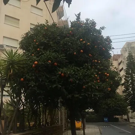 Mariko Apartment *