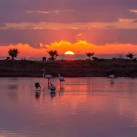 Mariko Larnaca